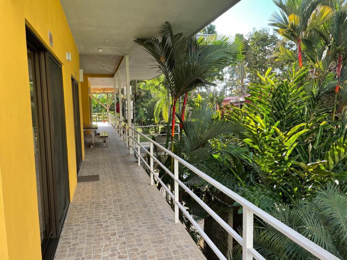 Hotel Luz De Luna Bahia Ballena Uvita Zewnętrze zdjęcie