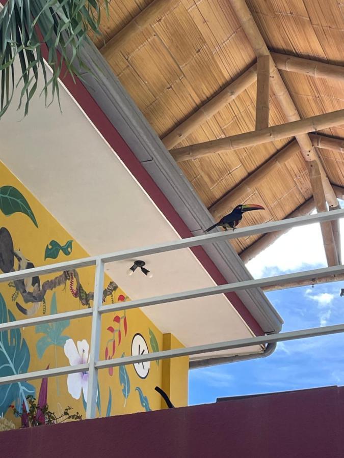 Hotel Luz De Luna Bahia Ballena Uvita Zewnętrze zdjęcie