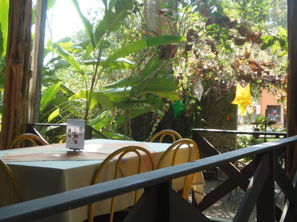 Hotel Luz De Luna Bahia Ballena Uvita Zewnętrze zdjęcie